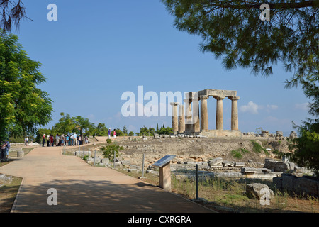 6. Jahrhundert v. Chr. Tempel des Apollo in der antike Korinth, Korinth Gemeinde, Region Peloponnes, Griechenland Stockfoto