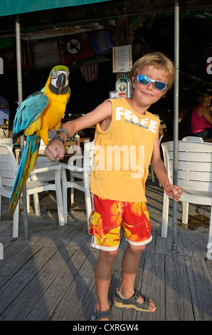 Junge hält einen Papagei, eine blau-gelbe Ara (Ara Ararauna), Key West, Florida, USA Stockfoto