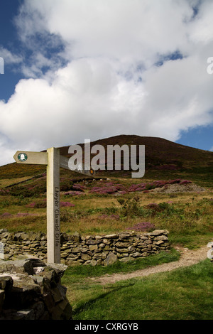 Ansicht der Wegweiser zeigt Weg vor Moel Arthur, Clwydian Hügel Stockfoto