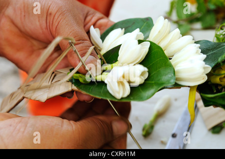 Tahitianische Frau bei einem Lei, Blumengirlande verbindlich Wettbewerb, Papeete, Tahiti, Gesellschaftsinseln, Französisch-Polynesien, Pazifik Stockfoto