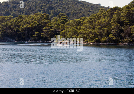 Veliko Jezero Mljet Nationalpark in der Nähe von Polace Mljet Insel Kroatien Stockfoto