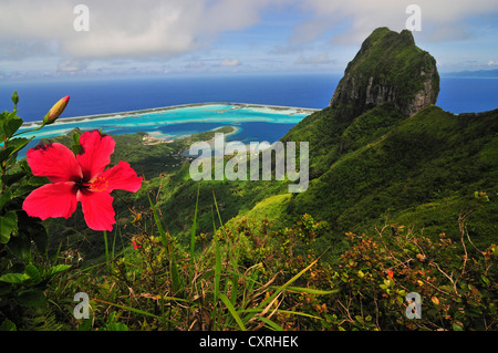 Blick auf das Riff, Atoll, Motu und Mount Otemanu vom Mount Pahia, Bora Bora, Leeward-Inseln, Gesellschaftsinseln, Französisch-Polynesien Stockfoto