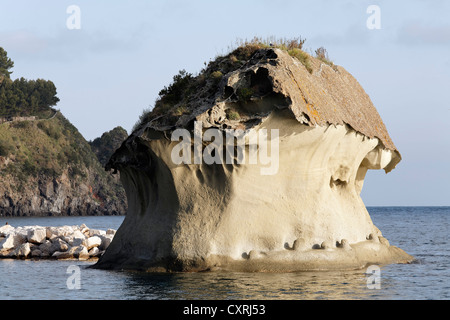 Il Fungo, pilzförmige Tuffstein, Wahrzeichen von Lacco Ameno, auf der Insel Ischia, Golf von Neapel, Kampanien, Süditalien, Italien Stockfoto