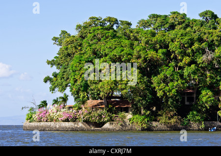 Kleine Insel mit tropischer Vegetation in Isletas, Lago de Nicaragua, Nicaragua, Nicaragua-See, Mittelamerika Stockfoto