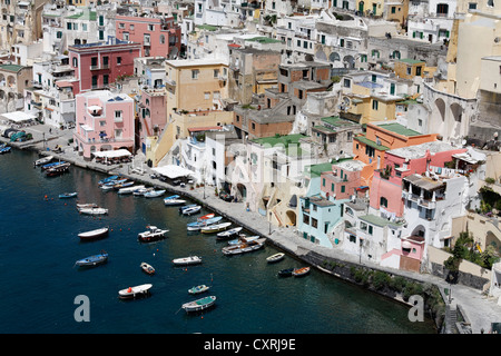 Hafen von Marina di Corricella, Angeln, Insel Procida, Golf von Neapel, Kampanien, Süditalien, Italien, Europa Stockfoto