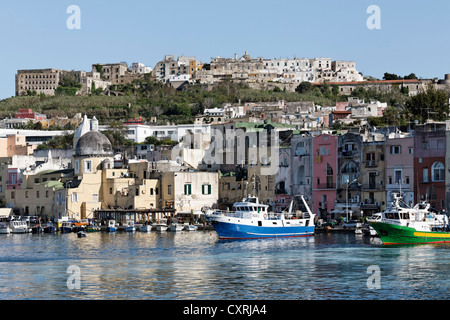 Hafen Sie mit Blick auf Terra Murata, Porto di Marina Grande Insel Procida, Golf von Neapel, Kampanien, Süditalien, Italien Stockfoto