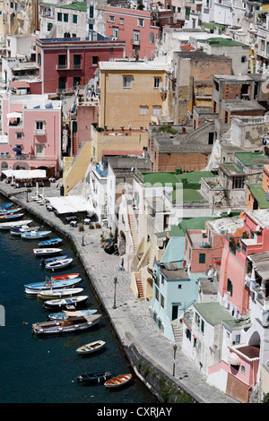 Hafen von Marina di Corricella, Angeln, Insel Procida, Golf von Neapel, Kampanien, Süditalien, Italien, Europa Stockfoto