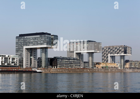 Kranhaeuser Gebäude auf dem Rhein, gesehen vom Deutzer Rheinufer, Rheinauhafen, Köln, Nordrhein-Westfalen Stockfoto