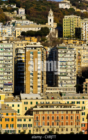 Häuser am Hafen von Genua, Ligurien, Italien, Europa Stockfoto