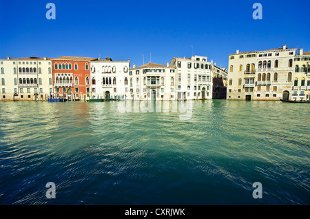 Fronten der Häuser auf dem Canal Grande, Venedig, Venezia, Veneto, Italien, Europa Stockfoto