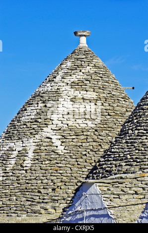 Dach des Trullo, einem traditionellen trockenen Steinhütte mit einem kegelförmigen Dach, im Dorf von Alberobello, Apulien, Italien, Europa Stockfoto