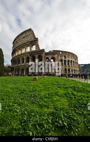 Kolosseum, Rom, Latium, Italien, Europa Stockfoto