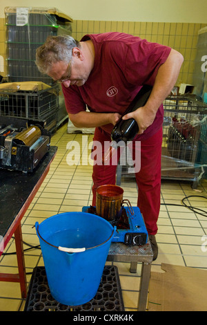 Italien, Lombardei, Valtellina, Chiuro, Casa Vinicola Nino Negri, Nino Negri Weingut Stockfoto