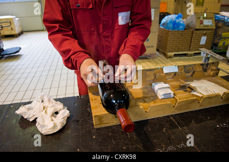 Italien, Lombardei, Valtellina, Chiuro, Casa Vinicola Nino Negri, Nino Negri Weingut Stockfoto