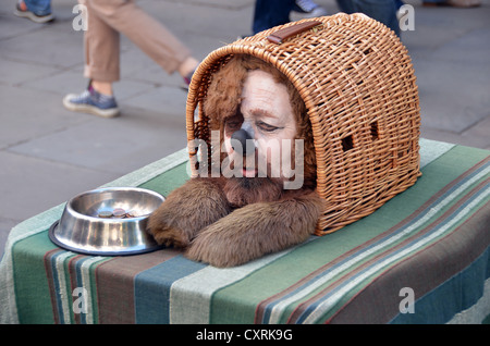 Street Performer gekleidet, wie ein Hund in Covent Garden, London, England, Vereinigtes Königreich, Europa Stockfoto