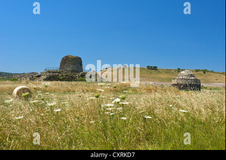 Nuraghe Santu Antine, Nuraghen Festung im Valle del Nuraghi Tal, Sardinien, Italien, Europa Stockfoto