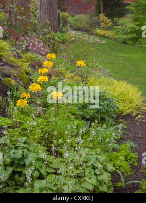 Maury-Vashon Island, WA: Weiß blühende Heuchera und gelb blühend laubwechselnden Azalee Akzent einen Wald Garten. Stockfoto