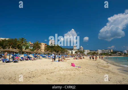 Strand von Magaluf, Mallorca, Mallorca, Balearen, Spanien, Europa Stockfoto
