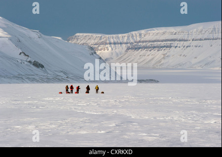 Langläufer mit Pulkas während des Abstiegs eines Gletschers schwimmendes Hotel "Boot auf dem Eis" in Tempelfjorden Stockfoto