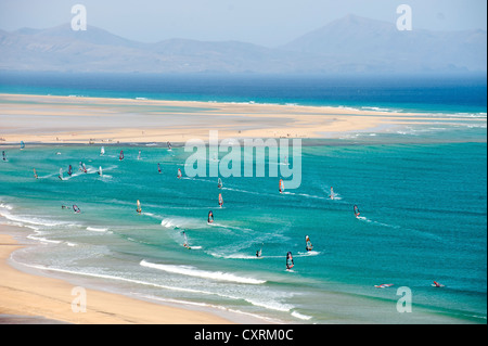 Windsurfer am Strand Risco del Paso, Playa de Sotavento, Jandia, Fuerteventura, Kanarische Inseln, Spanien, Europa Stockfoto