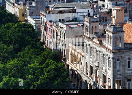 Prächtige Häuser auf Bäumen gesäumten Boulevard Prado oder Paseo de Martí, Villa San Cristobal De La Habana, Altstadt, La Habana Stockfoto