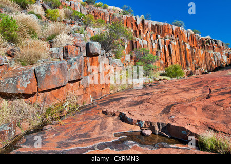 Felsformation von Orgelpfeifen in Gawler Ranges National Park. Stockfoto