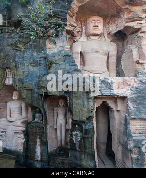 Monolithische Statuen schneiden im Fels, Jain Tirthankaras oder Thirthankaras, Gwalior, Madhya Pradesh, Indien, Asien Stockfoto