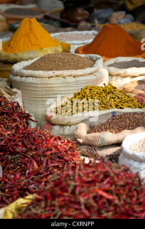 Chilis, Gewürze, Basar in der Nähe von Howrah Bridge, Calcutta oder Kolkata, Westbengalen, East India, Indien, Asien Stockfoto