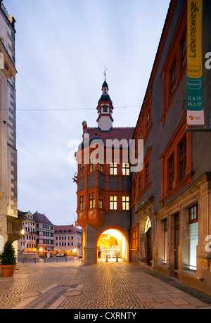 Schlesischen Museum in Görlitz, Formererly genannt, Schoenhof, Görlitz, Oberlausitz, Lusatia, Sachsen, PublicGround Stockfoto