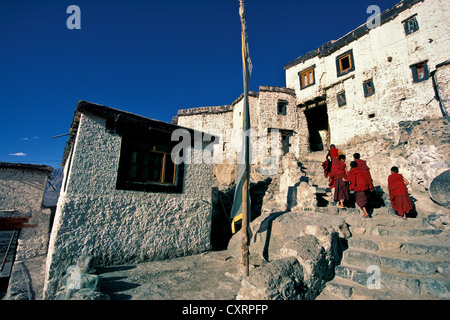 Junge Mönche, Novizen, Deskit oder Diskit Kloster, Gompa, Nubra Valley, Ladakh, indischen Himalaya, Jammu und Kaschmir, Nord-Indien Stockfoto