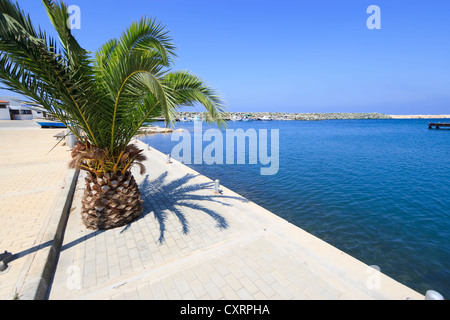 Kato Pyrgos Marina, Bereich Paphos, Zypern Stockfoto