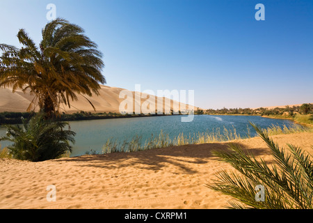 Lake Gabroon, Mandara Seen, Sanddünen Ubari, Umm el Ma Oase, libysche Wüste, Sahara, Libyen, Afrika Stockfoto