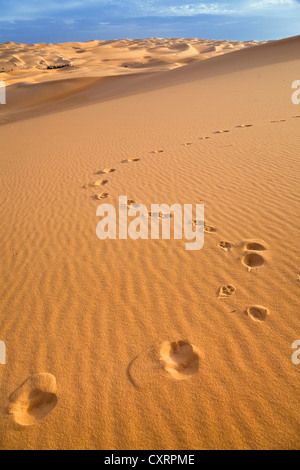 Spuren von Fennec Fuchs (Canis Zerdus) auf einer Düne in die libysche Wüste, Libyen, Sahara, Afrika Stockfoto