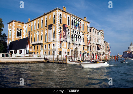 Palazzo Cavalli-Franchetti, gehören zum Istituto Veneto di Scienze, Lettere Ed Arti, venezianischen Institut für die Wissenschaften Stockfoto