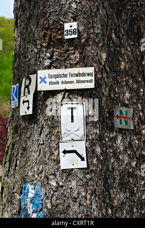 Zahlreiche Zeichen für Wanderwege auf einem Baumstamm, Schlangenbad, Hessen, Deutschland, Europa Stockfoto