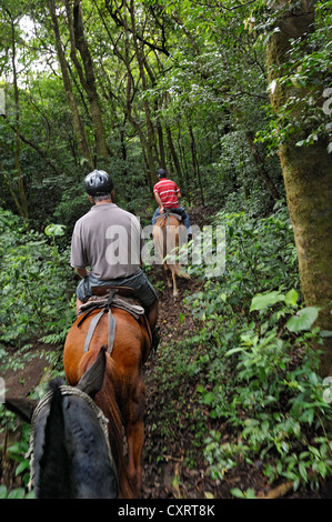 Senior Tourist und eine Anleitung, die Pferde Reiten in der Nähe von Monte Verde, Provinz Alajuela, Costa Rica, Mittelamerika Stockfoto