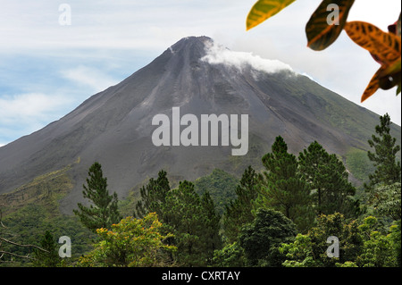 Vulkan Arenal, Aussicht von Arenal Observatory Lodge, Provinz Alajuela, Costa Rica, Mittelamerika Stockfoto