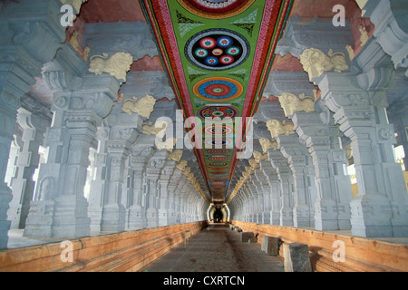 Berühmte Spalte unterstützt Korridor von Ramanathaswami Tempel, Rameshwaram oder Ramesvaram, Tamil Nadu, Südindien, Indien, Asien Stockfoto