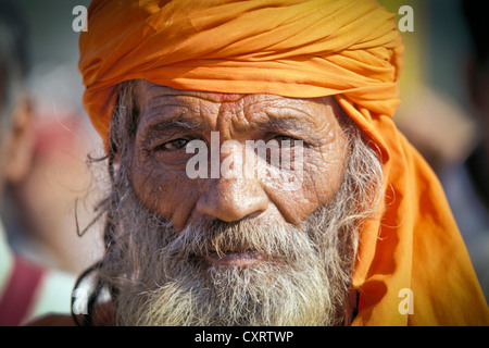 Sadhu, Porträt, Kumbh Mela oder Kumbha, Haridwar, Uttarakhand, ehemals Uttaranchal, indischen Himalaya, Nordindien, Indien, Asien Stockfoto