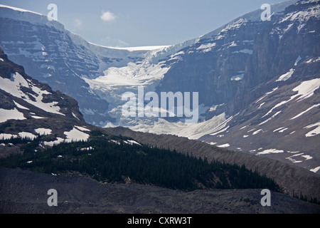 Zurückweichenden Athabasca Gletscher im Sommer 2012, Jasper-Nationalpark. Stockfoto