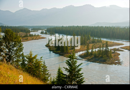 Athabasca Fluss nordöstlich der Stadt Jasper im Jasper Nationalpark, Alberta. Stockfoto