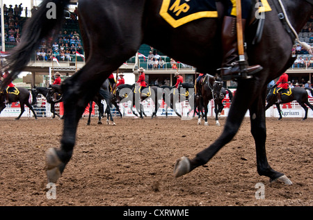 RCMP Musical Ride, 32-köpfigen Pferdesport Tagesleistung, bei der Calgary Stampede 2012. Stockfoto