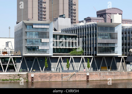 Bürogebäude am Westhafen-Pier, Westhafen Bezirk Frankfurt am Main, Hessen, Deutschland, Europa, PublicGround Stockfoto