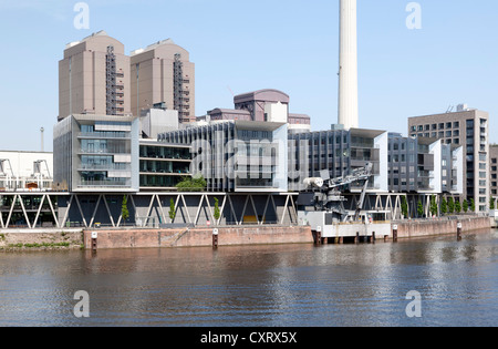 Bürogebäude am Westhafen-Pier, Westhafen Bezirk Frankfurt am Main, Hessen, Deutschland, Europa, PublicGround Stockfoto