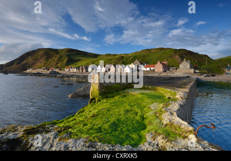 Küstenlandschaft mit grünen Algen auf Crovie Pier an der Fischerei Dorf von Crovie, Banffshire, Schottland, Vereinigtes Königreich, Europa Stockfoto