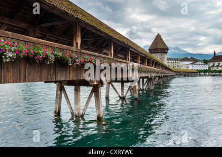 Historische Kapellbruecke Brücke und der Wasserturm im historischen Bezirk Luzern, Kanton Luzern, Schweiz, Europa Stockfoto