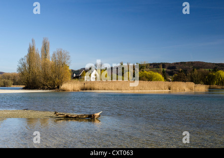 Blick in Richtung Insel Werd über den Rhein bei niedrigem Wasserstand, in der Nähe von Stein bin Rhein, Eschenz, Kanton Thurgau, Schweiz Stockfoto