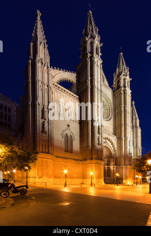 Kathedrale La Seu, Parc De La Mar, alte Stadt, Ciutat Antiga, Palma De Mallorca, Mallorca, Balearen, Spanien, Europa Stockfoto