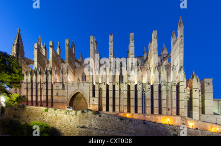 Kathedrale La Seu, Parc De La Mar, alte Stadt, Ciutat Antiga, Palma De Mallorca, Mallorca, Balearen, Spanien, Europa Stockfoto