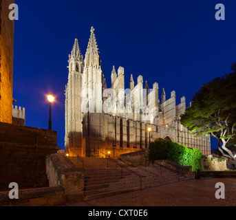 Kathedrale La Seu, Parc De La Mar, alte Stadt, Ciutat Antiga, Palma De Mallorca, Mallorca, Balearen, Spanien, Europa Stockfoto